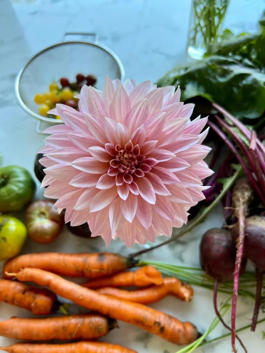 Workshop on the farm