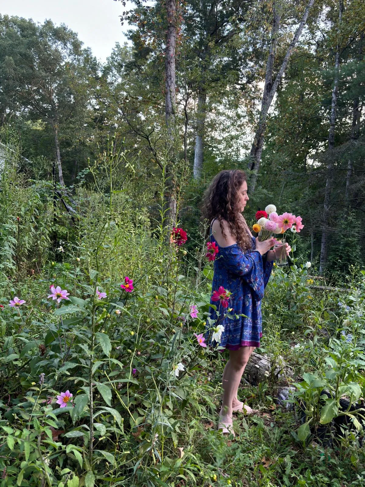 woman in blue dress on flower farm with dahlias